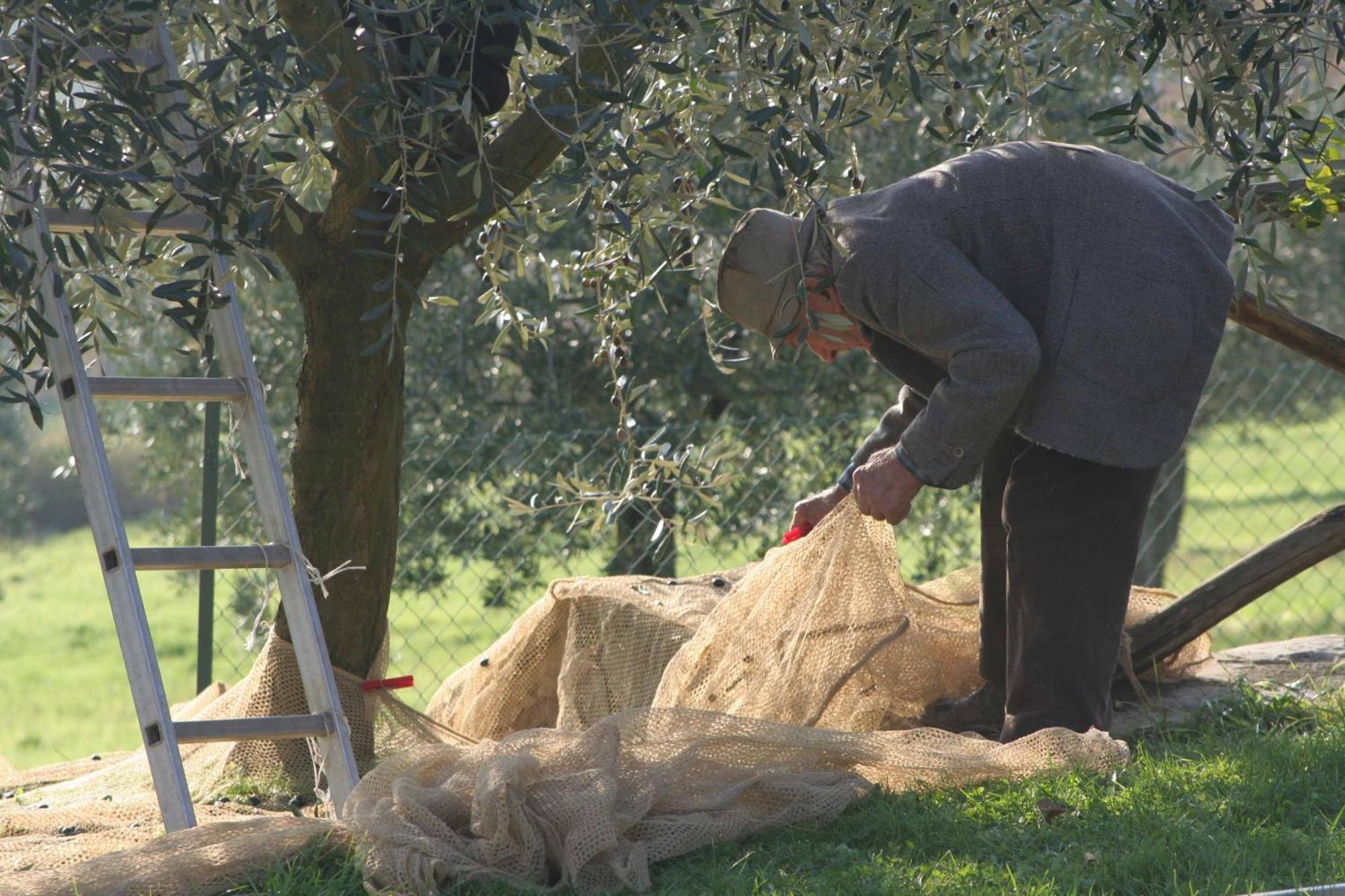 Agriturismo Le Ceregne Bio Pieve Santo Stefano Buitenkant foto